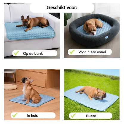 Hondenkoelmat – Zelfkoelende Koelmat voor Hond en Kat – Wasbaar Koelkussen voor Mand, Bank & Vloer