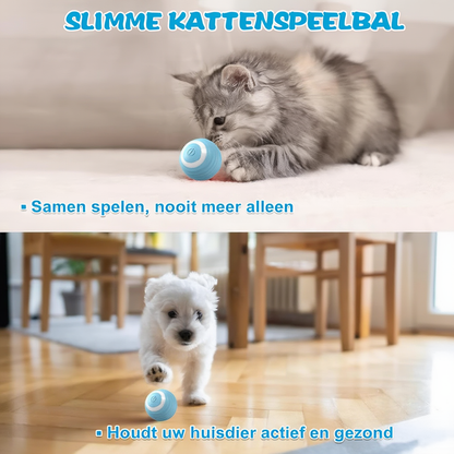 Interactieve Kattenbal – Slim Automatisch Rollend Kattenspeelgoed | Elektrisch & USB Oplaadbaar